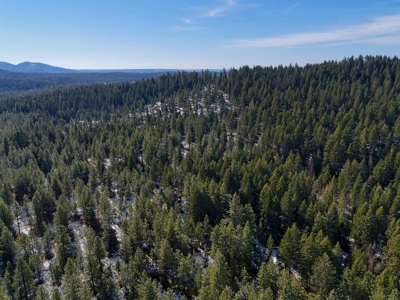 25 Beautiful Acres close to Lake Roosevelt and Public Land - image 5