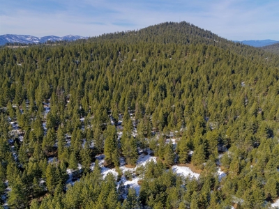 25 Beautiful Acres close to Lake Roosevelt and Public Land - image 4