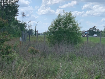 Farm with Hunting Land & Home For Sale in Jackson County, FL - image 11
