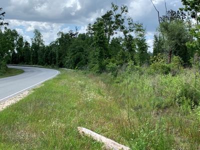 Farm with Hunting Land & Home For Sale in Jackson County, FL - image 4