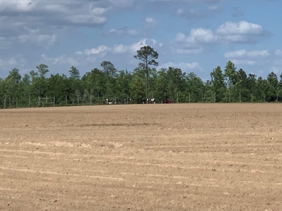 Farm with Hunting Land & Home For Sale in Jackson County, FL - image 8