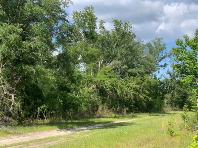 Farm with Hunting Land & Home For Sale in Jackson County, FL - image 15