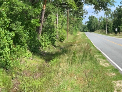 Farm with Hunting Land & Home For Sale in Jackson County, FL - image 5