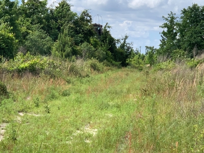 Farm with Hunting Land & Home For Sale in Jackson County, FL - image 12