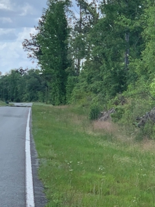 Farm with Hunting Land & Home For Sale in Jackson County, FL - image 16