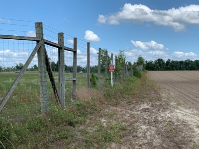 Farm with Hunting Land & Home For Sale in Jackson County, FL - image 10