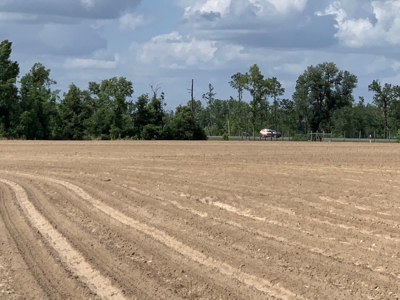 Farm with Hunting Land & Home For Sale in Jackson County, FL - image 9
