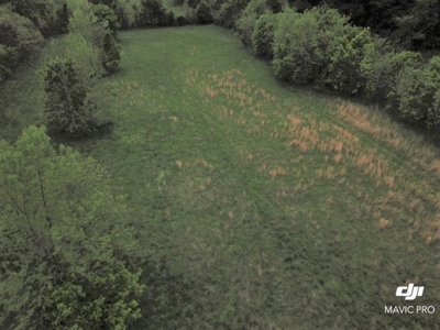 White River Building Lot For Sale - image 6