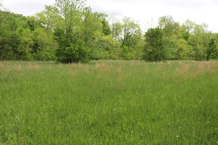White River Building Lot For Sale - image 8