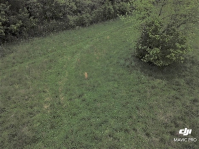 White River Building Lot For Sale - image 2