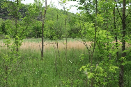 White River Building Lot For Sale - image 13