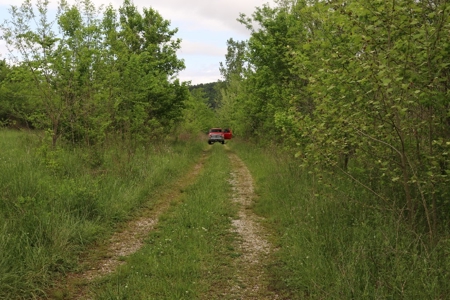 White River Building Lot For Sale - image 12