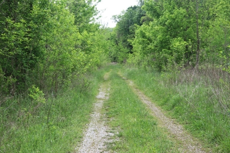 White River Building Lot For Sale - image 9