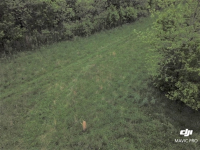 White River Building Lot For Sale - image 4
