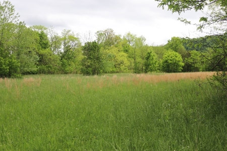 White River Building Lot For Sale - image 7