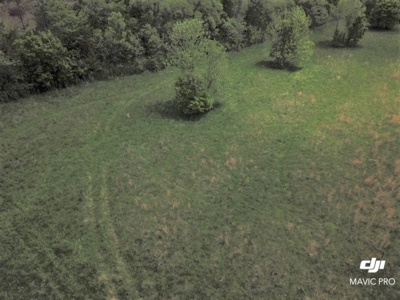 White River Building Lot For Sale - image 3