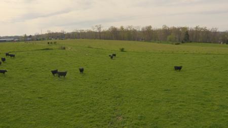 East Tennessee mini farms for sale. - image 4