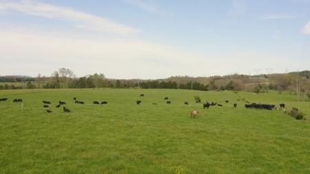 East Tennessee mini farms for sale. - image 4