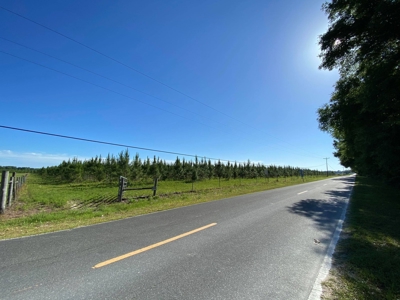 73+ Acres In Gilchrist County - image 5