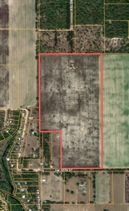 73+ Acres In Gilchrist County - image 6