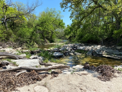 Ranches for Sale in Central Texas - 348 Acres with Lake - image 2
