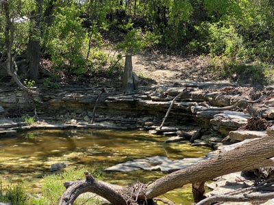 Ranches for Sale in Central Texas - 348 Acres with Lake - image 6