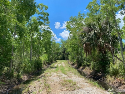 Coosaw/Judge Island Morgan River Estate Lot Beaufort - image 36