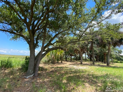 Coosaw/Judge Island Morgan River Estate Lot Beaufort - image 15