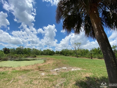 Coosaw/Judge Island Morgan River Estate Lot Beaufort - image 24