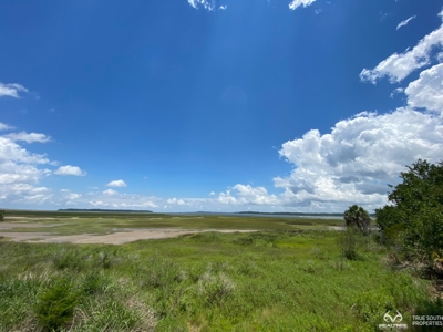Coosaw/Judge Island Morgan River Estate Lot Beaufort - image 30