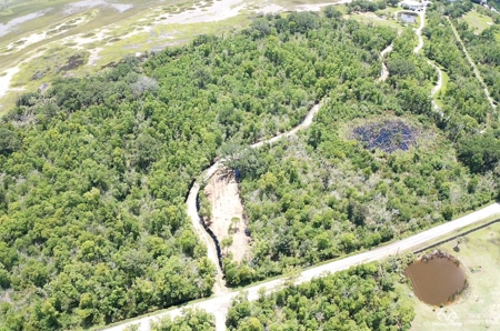 Coosaw/Judge Island Morgan River Estate Lot Beaufort - image 43