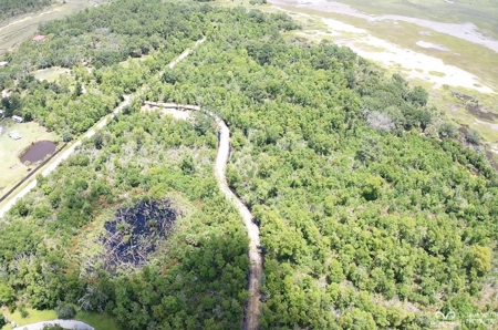 Coosaw/Judge Island Morgan River Estate Lot Beaufort - image 14