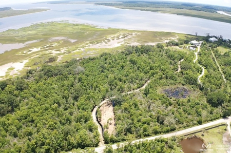Coosaw/Judge Island Morgan River Estate Lot Beaufort - image 42