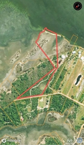 Coosaw/Judge Island Morgan River Estate Lot Beaufort - image 4