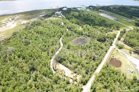 Coosaw/Judge Island Morgan River Estate Lot Beaufort - image 39