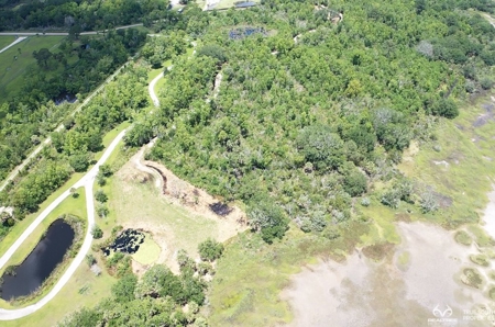 Coosaw/Judge Island Morgan River Estate Lot Beaufort - image 47