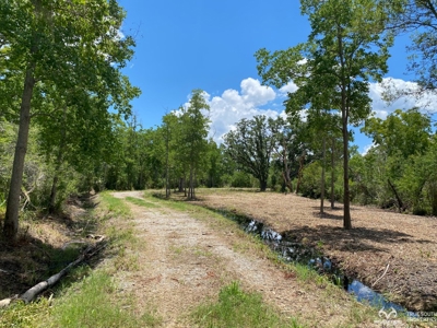 Coosaw/Judge Island Morgan River Estate Lot Beaufort - image 5