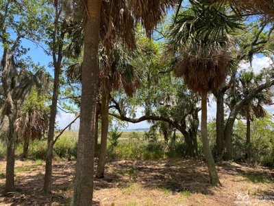 Coosaw/Judge Island Morgan River Estate Lot Beaufort - image 26