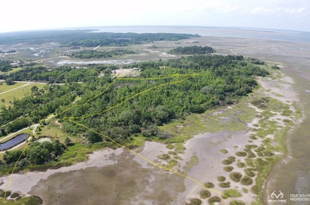 Coosaw/Judge Island Morgan River Estate Lot Beaufort - image 3