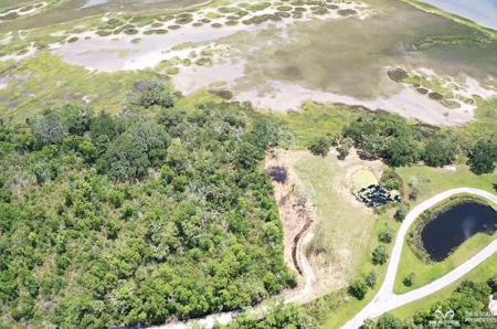 Coosaw/Judge Island Morgan River Estate Lot Beaufort - image 46