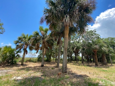 Coosaw/Judge Island Morgan River Estate Lot Beaufort - image 17