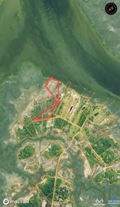 Coosaw/Judge Island Morgan River Estate Lot Beaufort - image 23