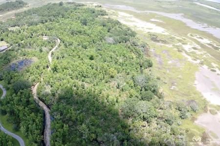Coosaw/Judge Island Morgan River Estate Lot Beaufort - image 37