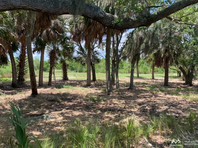 Coosaw/Judge Island Morgan River Estate Lot Beaufort - image 25
