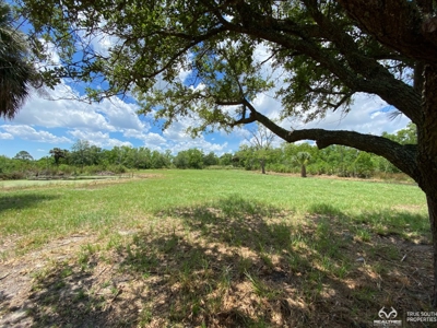 Coosaw/Judge Island Morgan River Estate Lot Beaufort - image 16