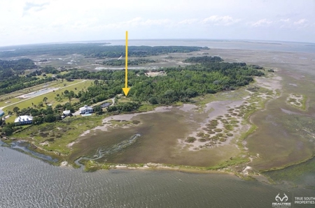 Coosaw/Judge Island Morgan River Estate Lot Beaufort - image 1