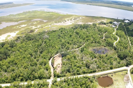 Coosaw/Judge Island Morgan River Estate Lot Beaufort - image 40