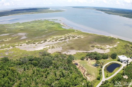 Coosaw/Judge Island Morgan River Estate Lot Beaufort - image 45