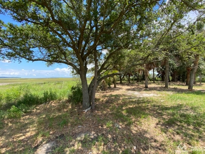 Coosaw/Judge Island Morgan River Estate Lot Beaufort - image 29