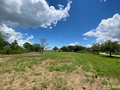 Coosaw/Judge Island Morgan River Estate Lot Beaufort - image 6